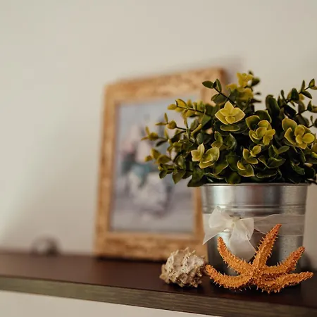 Nono Apartman Makarska