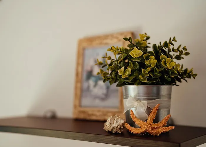 Nono Apartment Makarska