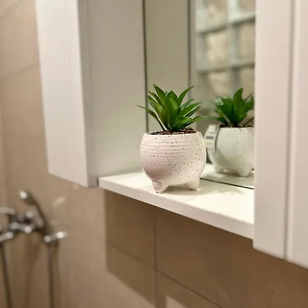 Apartament Nono